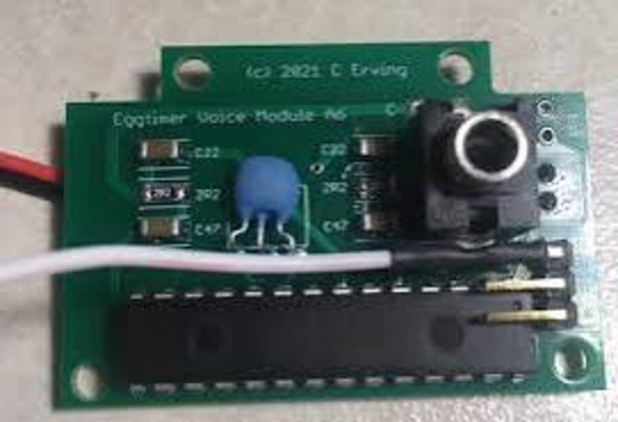Eggtimer Voice Module